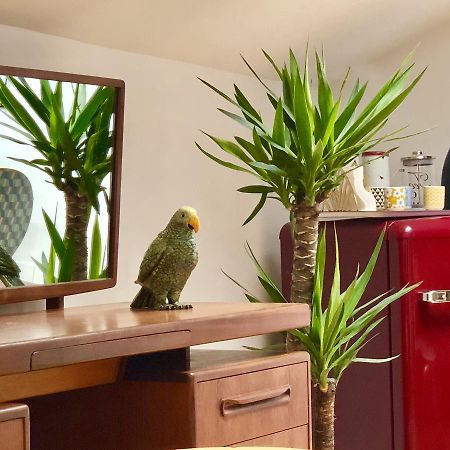 Malagajara 61 Apartman Kültér fotó